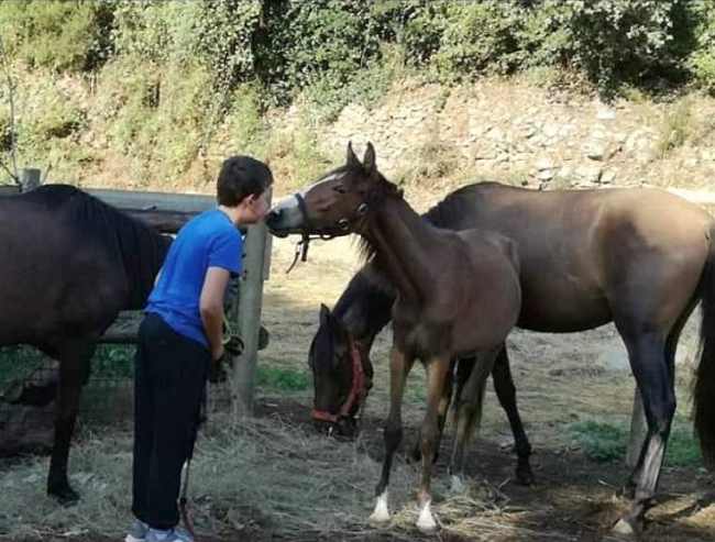 jeune garçon qui fait un bisou à un jeune poulain