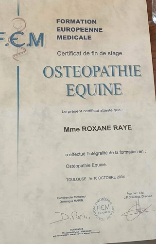 diplome d'osthéopathie équine