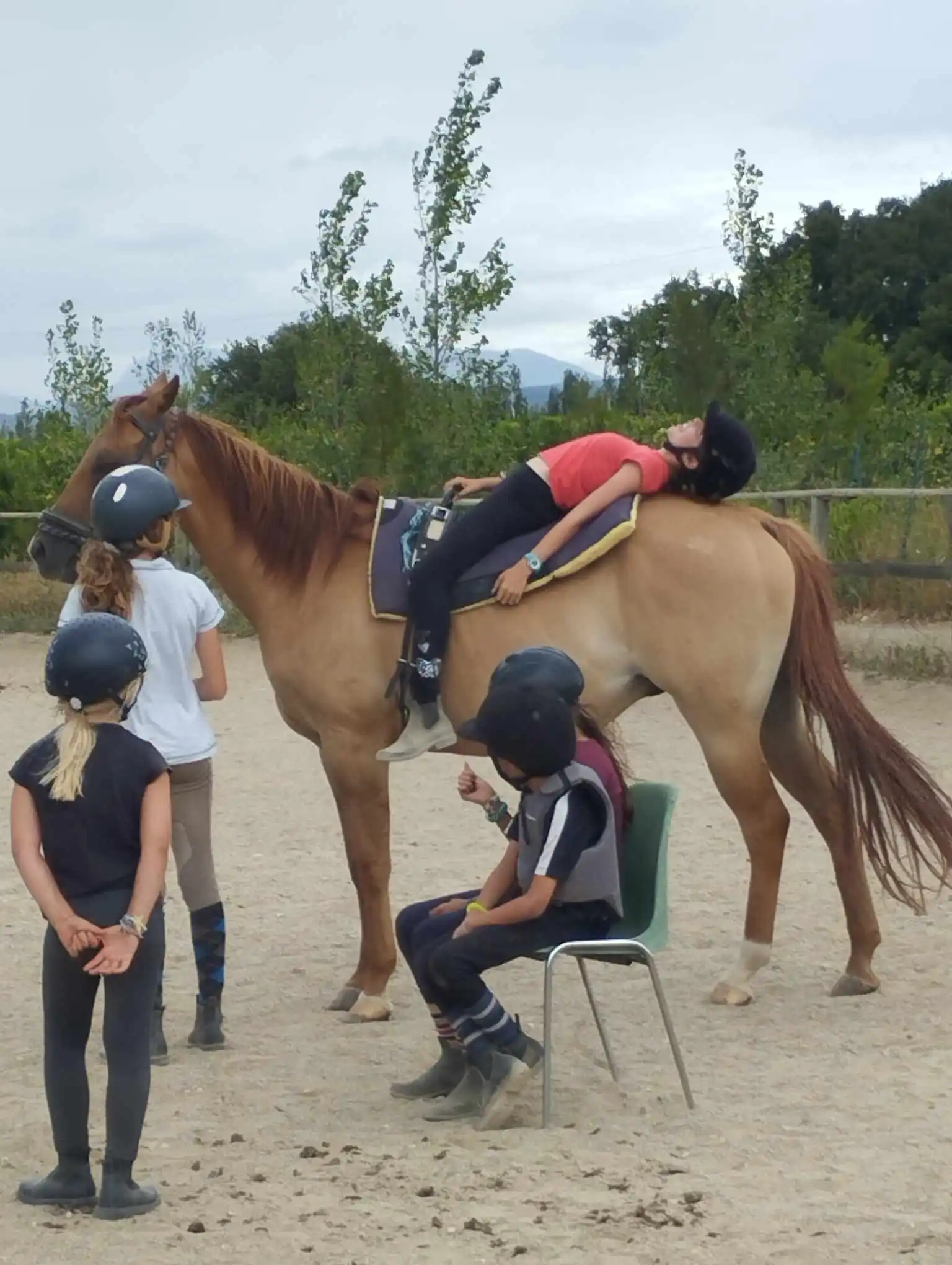 cheval à l'arrêt monté par une enfant qui est couchée sur son dos, lors d'un cours de voltige